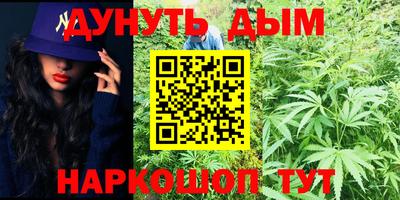дмт Можга