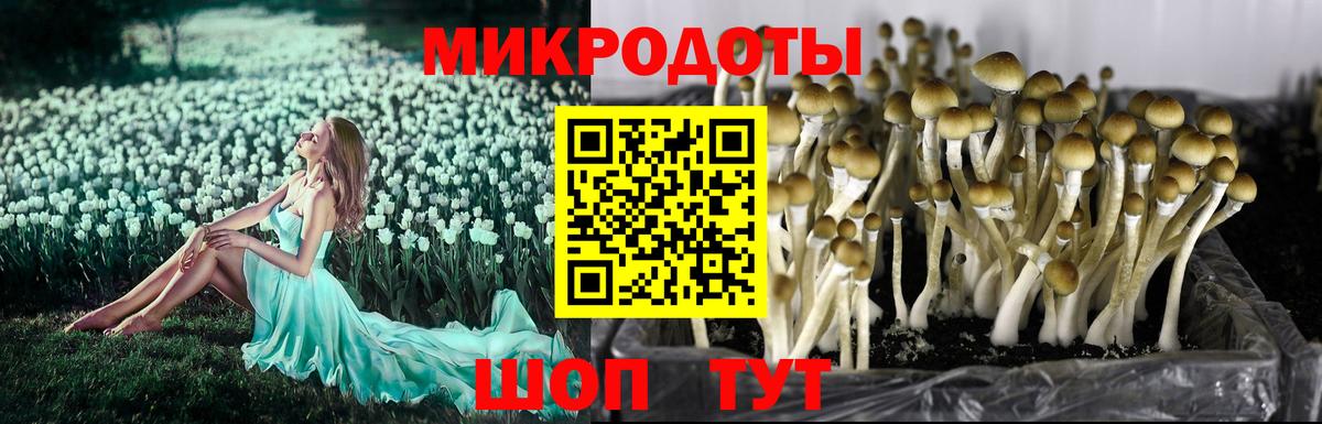 Галлюциногенные грибы Magic Shrooms Реж